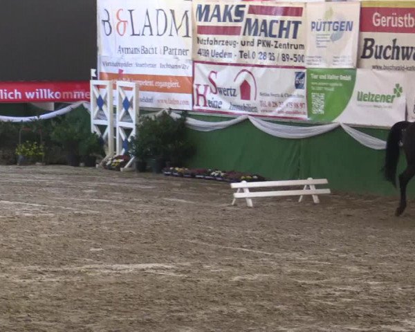 Reitturnier Keppeln - Reitanlage "Hötzenhof" 2019