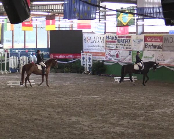 Reitturnier Keppeln - Reitanlage "Hötzenhof" 2019