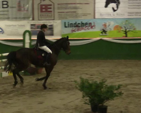 Reitturnier Keppeln - Reitanlage "Hötzenhof" 2019