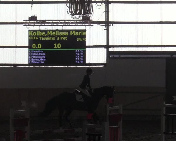 Reitturnier Datteln 2019