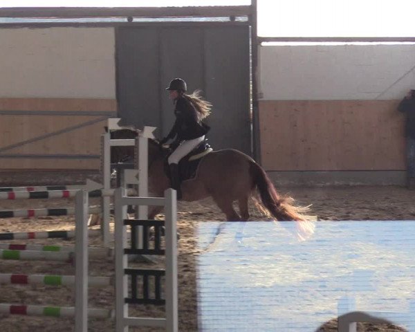 Reitturnier Datteln 2019