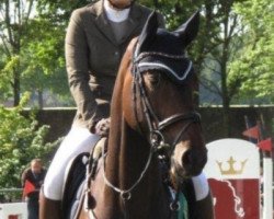 broodmare B-Caralda (Holsteiner, 2009, from Carentan)