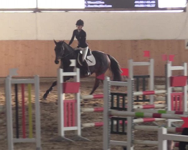 Reitturnier Datteln 2019