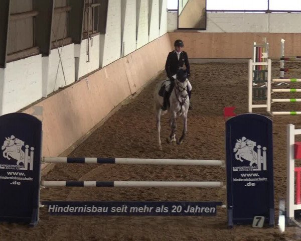 Reitturnier Datteln 2019