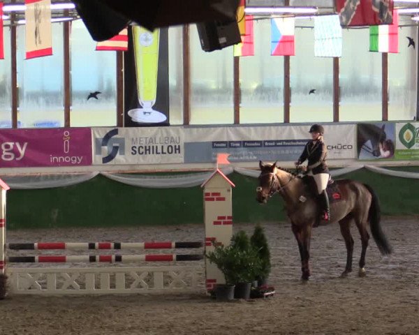 Reitturnier Keppeln - Reitanlage "Hötzenhof" 2019