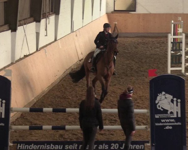 Reitturnier Datteln 2019