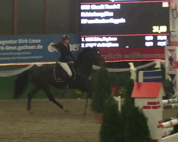 Reitturnier Keppeln - Reitanlage "Hötzenhof" 2019