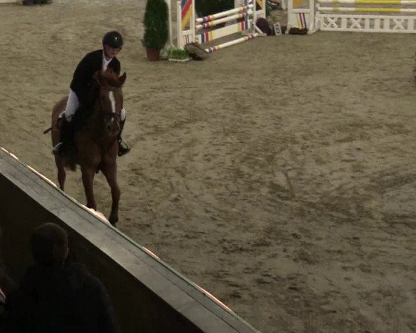 Reitturnier Keppeln - Reitanlage "Hötzenhof" 2019