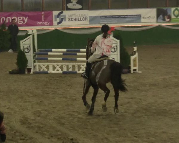 Reitturnier Keppeln - Reitanlage "Hötzenhof" 2019