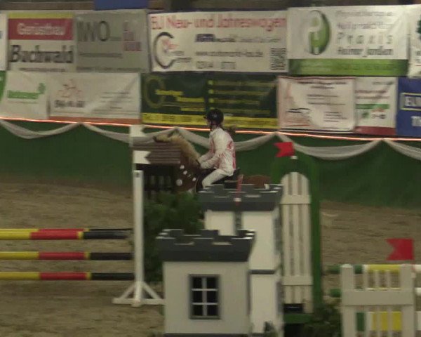 Reitturnier Keppeln - Reitanlage "Hötzenhof" 2019