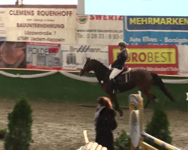 Reitturnier Keppeln - Reitanlage "Hötzenhof" 2019