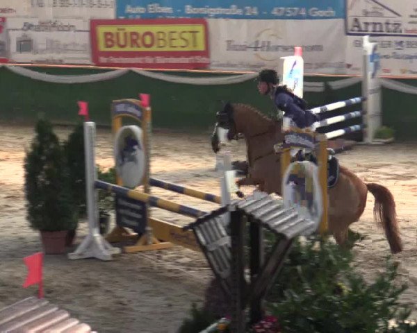 Reitturnier Keppeln - Reitanlage "Hötzenhof" 2019