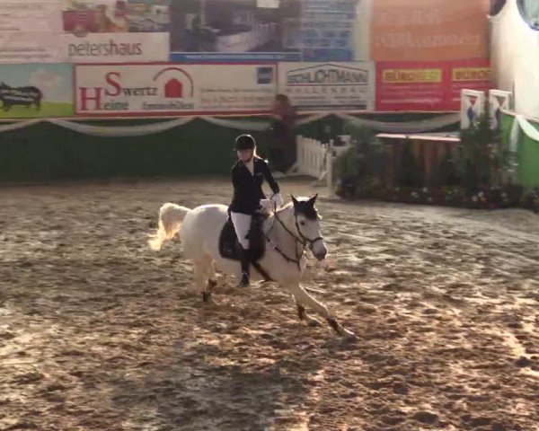 Reitturnier Keppeln - Reitanlage "Hötzenhof" 2019