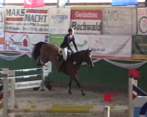 Reitturnier Keppeln - Reitanlage "Hötzenhof" 2019