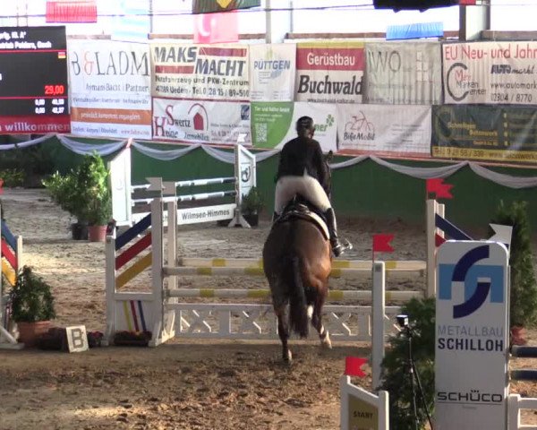 Reitturnier Keppeln - Reitanlage "Hötzenhof" 2019