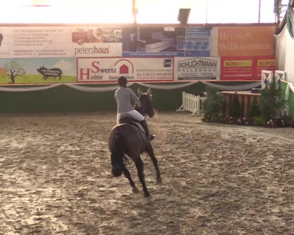 Reitturnier Keppeln - Reitanlage "Hötzenhof" 2019
