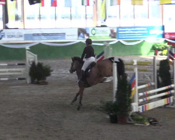 Reitturnier Keppeln - Reitanlage "Hötzenhof" 2019