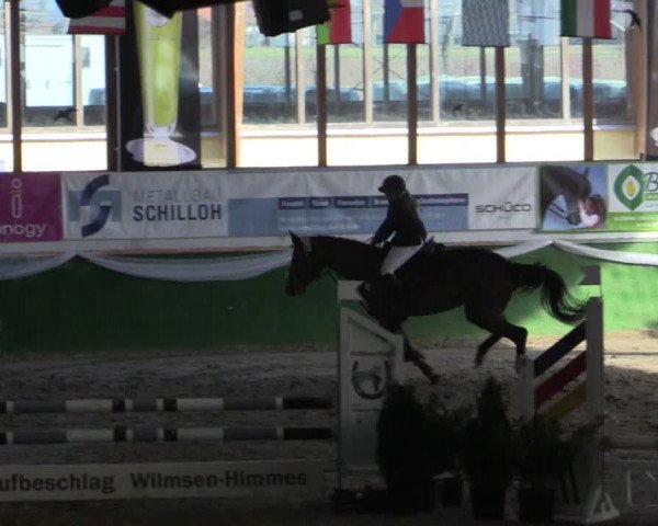 Reitturnier Keppeln - Reitanlage "Hötzenhof" 2019