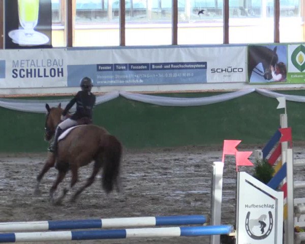Reitturnier Keppeln - Reitanlage "Hötzenhof" 2019