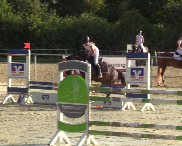 Reitturnier Ascheberg 2021