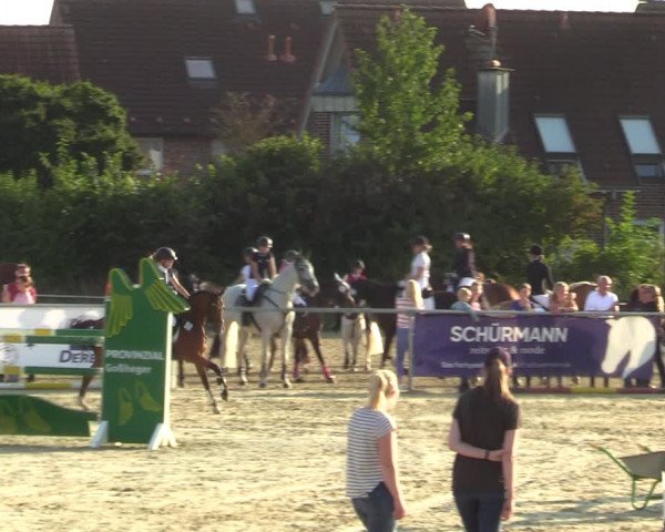 Reitturnier Ascheberg 2021