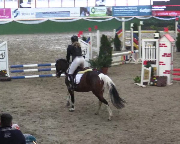 Reitturnier Keppeln - Reitanlage "Hötzenhof" 2019