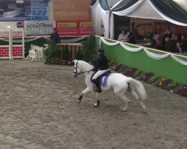 Reitturnier Keppeln - Reitanlage "Hötzenhof" 2019