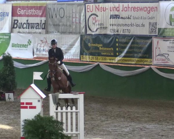 Reitturnier Keppeln - Reitanlage "Hötzenhof" 2019