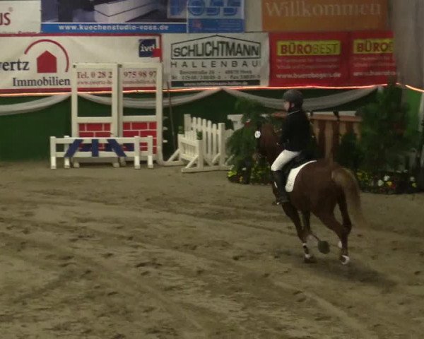 Reitturnier Keppeln - Reitanlage "Hötzenhof" 2019