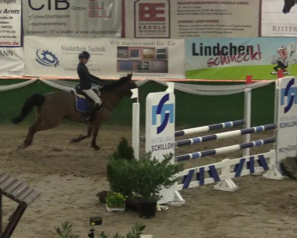 Reitturnier Keppeln - Reitanlage "Hötzenhof" 2019