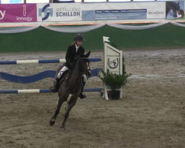 Reitturnier Keppeln - Reitanlage "Hötzenhof" 2019