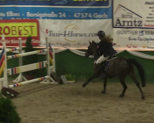 Reitturnier Keppeln - Reitanlage "Hötzenhof" 2019