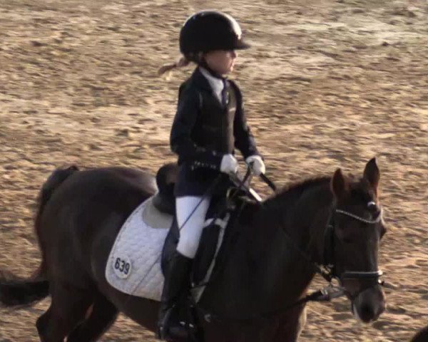 Reitturnier Keppeln - Reitanlage "Hötzenhof" 2019