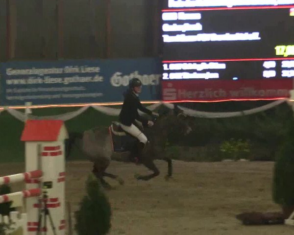 Reitturnier Keppeln - Reitanlage "Hötzenhof" 2019