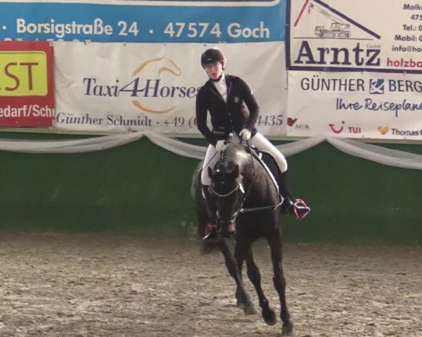 Reitturnier Keppeln - Reitanlage "Hötzenhof" 2019