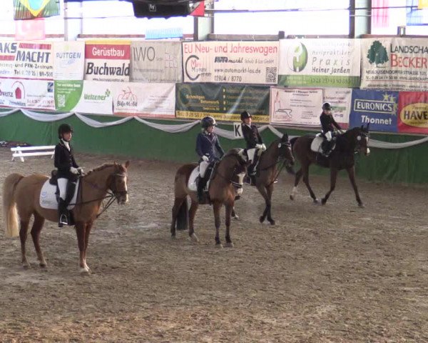 Reitturnier Keppeln - Reitanlage "Hötzenhof" 2019