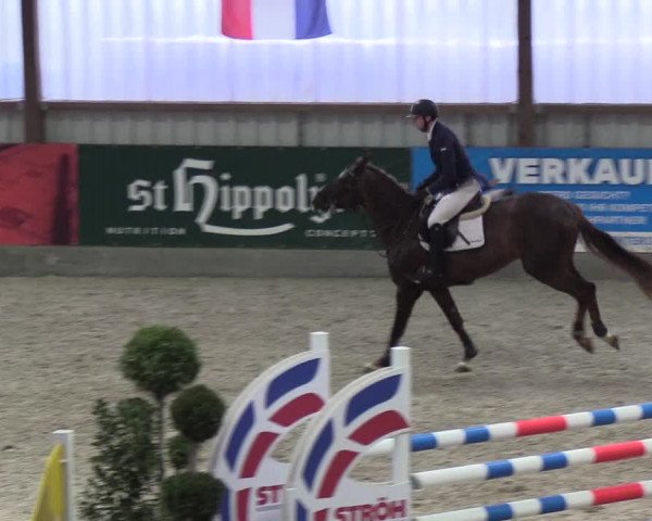 Nordic Jumping events 2019