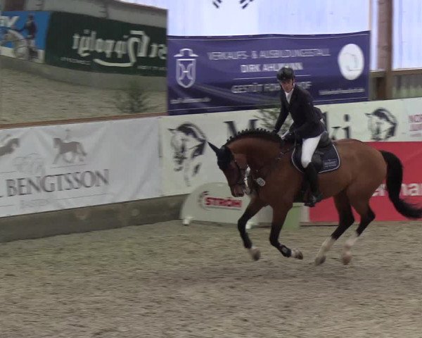Nordic Jumping events 2019