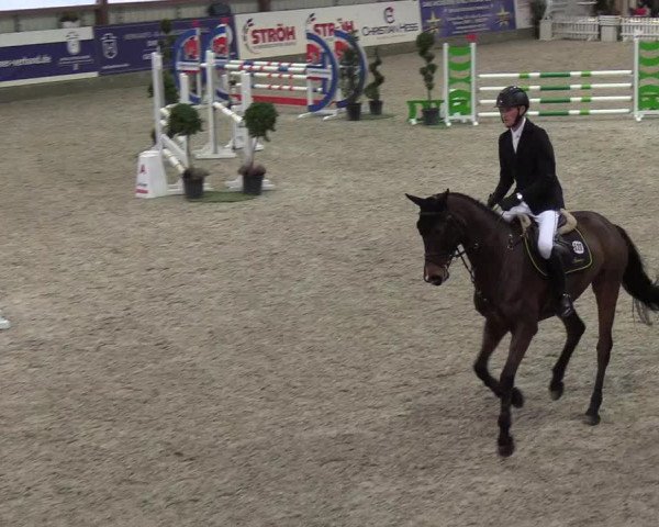 Nordic Jumping events 2019