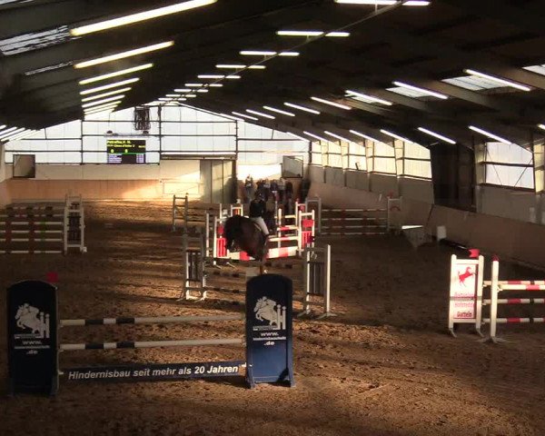 Reitturnier Datteln 2019