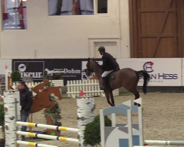 Nordic Jumping events 2019