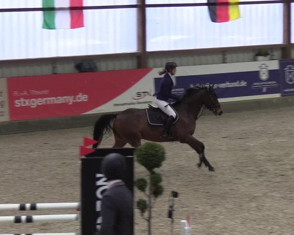 Nordic Jumping events 2019