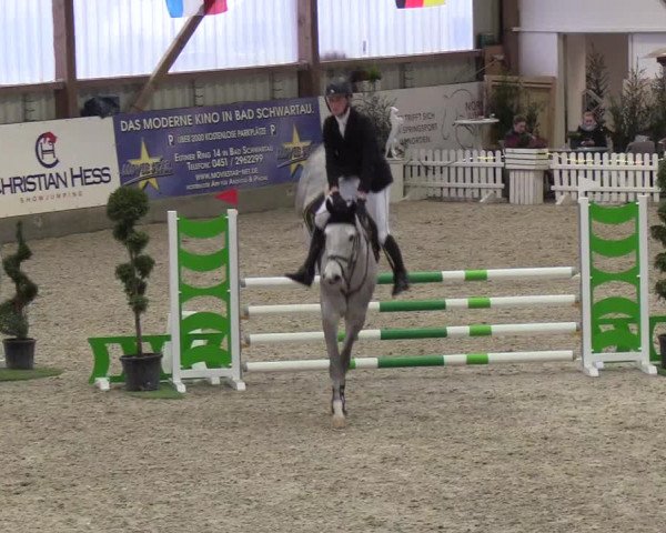 Nordic Jumping events 2019