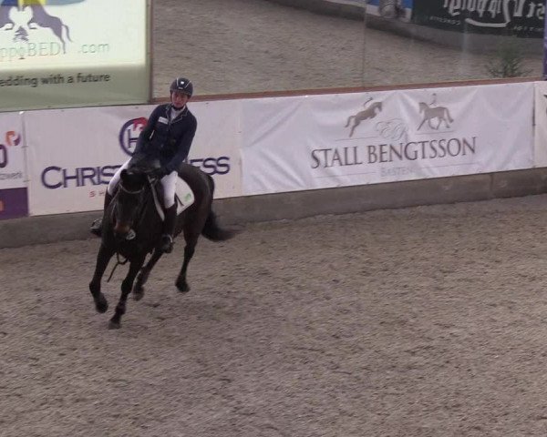 Nordic Jumping events 2019