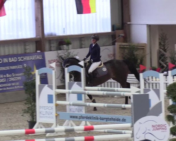 Nordic Jumping events 2019
