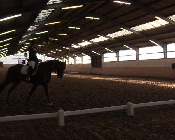 Reitturnier Datteln 2019