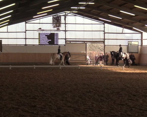 Reitturnier Datteln 2019
