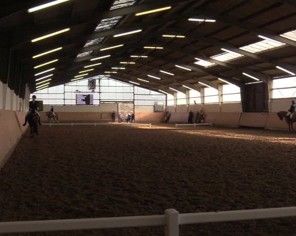 Reitturnier Datteln 2019