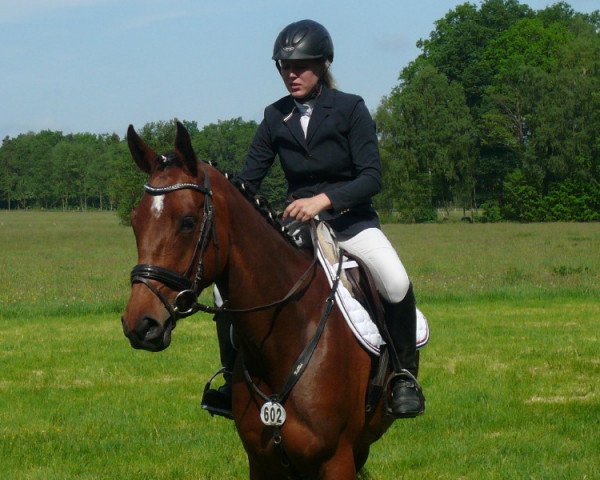 broodmare Eve 14 (Holsteiner, 2012, from Carrico)