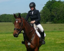 broodmare Eve 14 (Holsteiner, 2012, from Carrico)